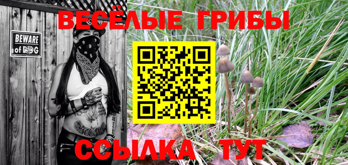 закладки  Вход с VPN  Туапсе  Галлюциногенные грибы Cubensis 