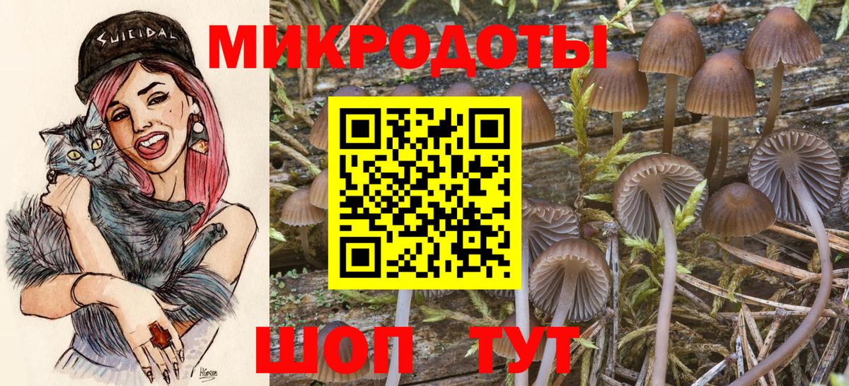 Галлюциногенные грибы мухоморы Туапсе
