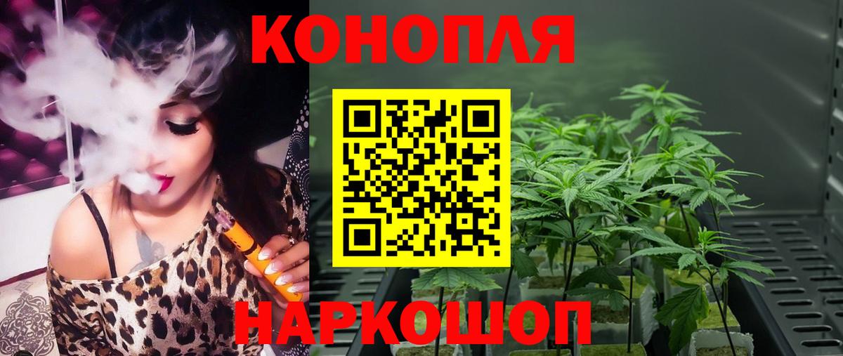 Бошки Шишки марихуана Туапсе